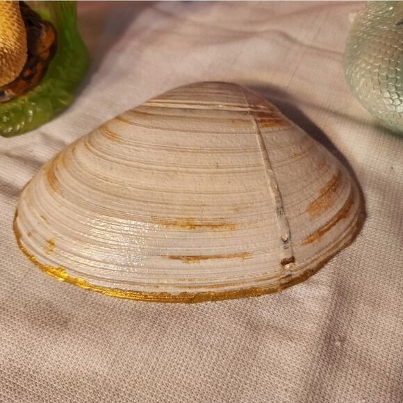 DECOUPAGE CLAM SHELL - Picture 6 of 8